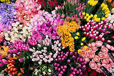 《信号法则》全新沙盒模式推出，来创作属于自己的合成器音乐吧